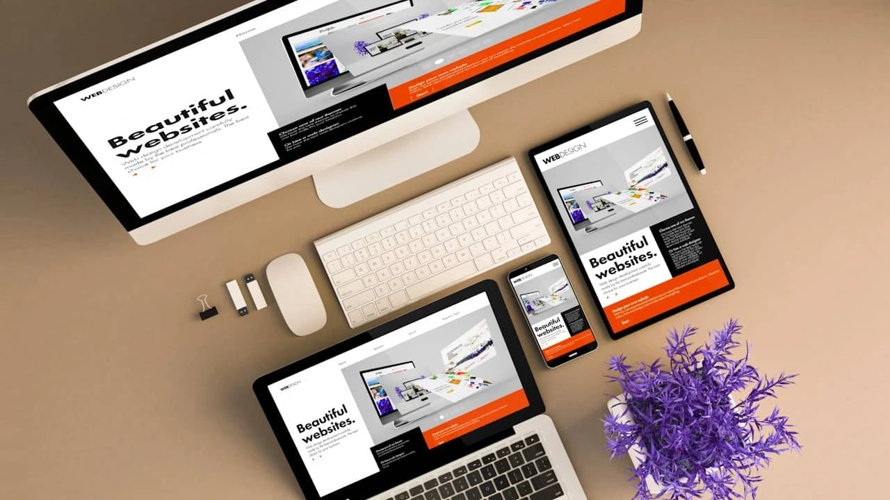 Echipa profesională Blq.ro - Experți în web design