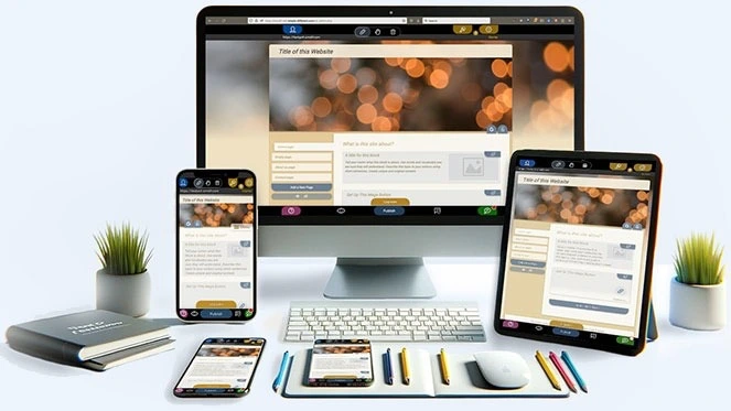 Site corporativ consultanță